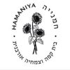 hamaniya-1